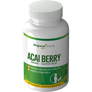 acai_berry