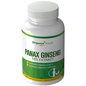 panax-ginseng